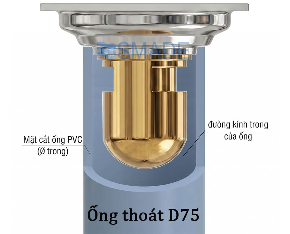 Thoát sàn Inox CF6B D75/140